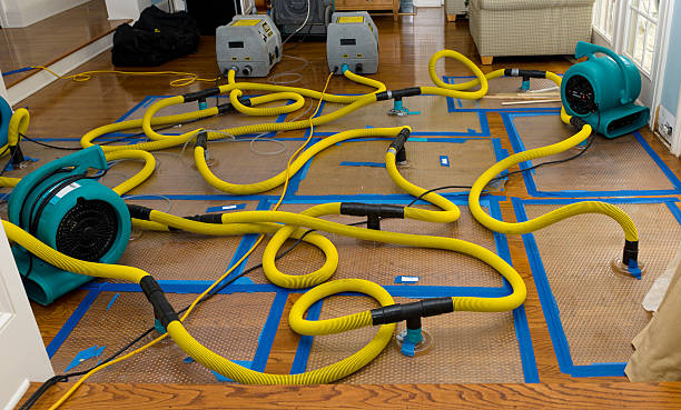 Professional Water Damage Repair technician working in Deer Park, NY